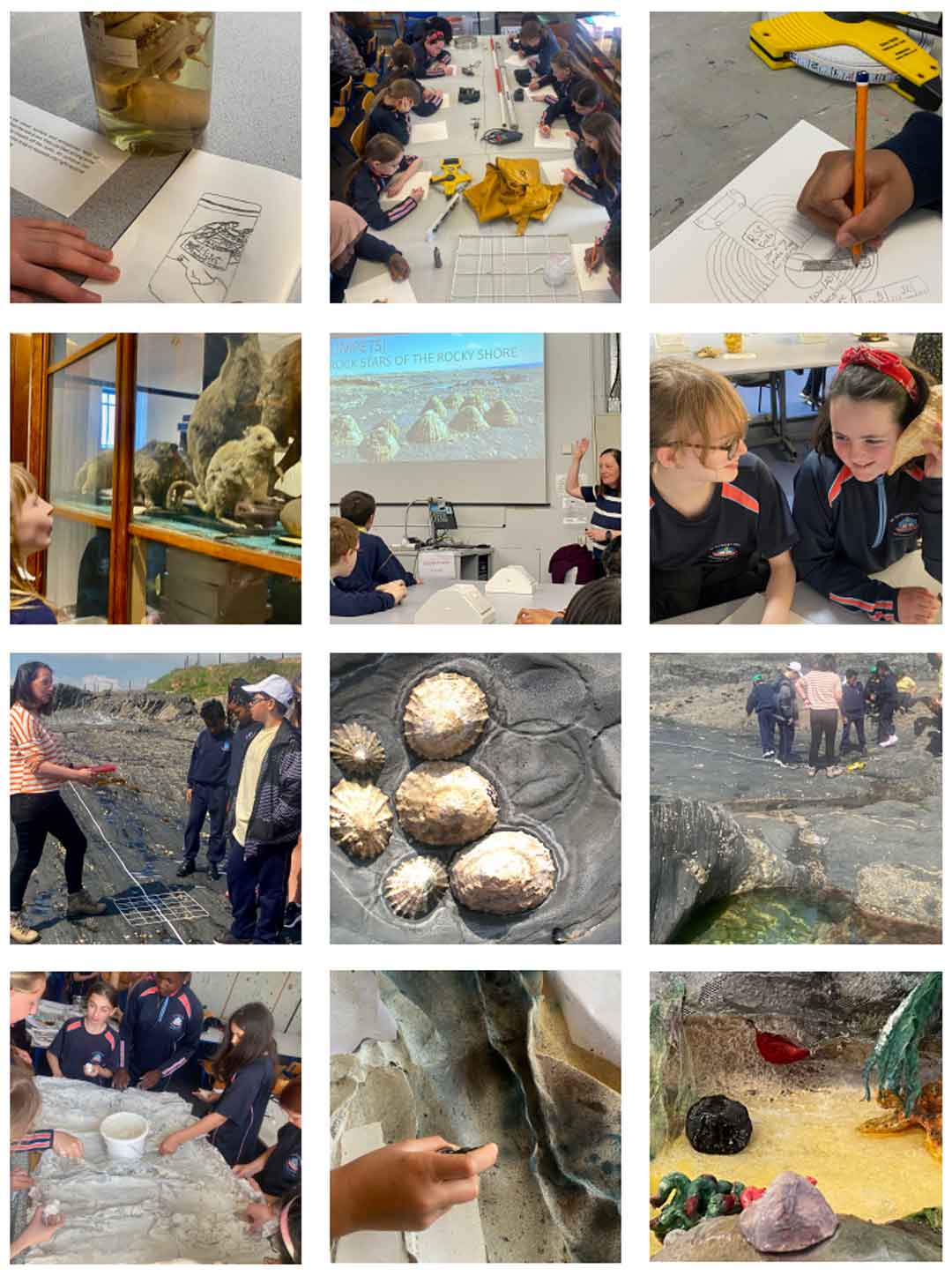 Tools of the Trade Exhibition 2025 - The Limpet Lens